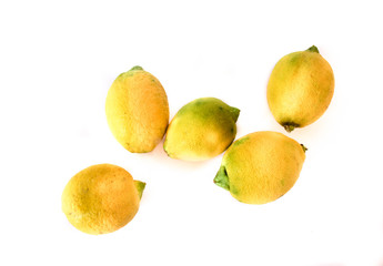 fresh lemons on white background. blank space for text.