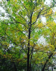 Красота Природа