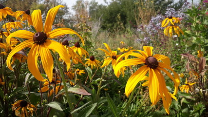 Красота Природа