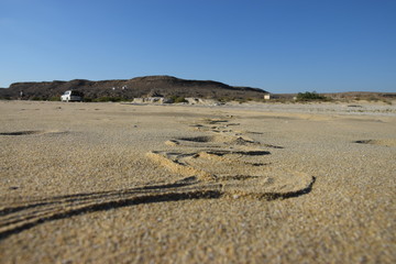 Красота Природа