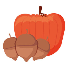 Pumpkin icon image