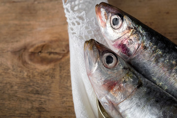canned sardines Raw