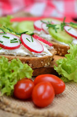 Close-up of wholemeal grain bread with spread, fresh radish, cucumber and tomatoes on a wooden cutting board - concept of healthy fitness breakfast or snack, fresh salad in background - vertical photo