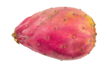 red prickly pear or opuntia isolated on a white background