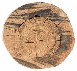 Round oak wood cross section with cracks and annual rings texture isolated on white
