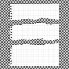Torn paper set, isolated.