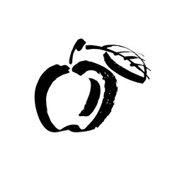 Apple vector sketch icon isolated on background. Hand drawn ink brush illustration. Icon for infographic, website or app