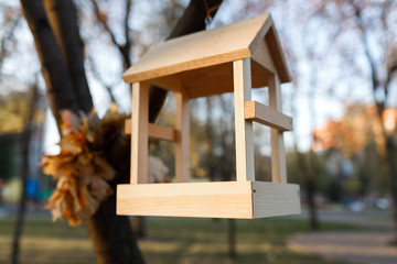 new wooden nesting box in the park