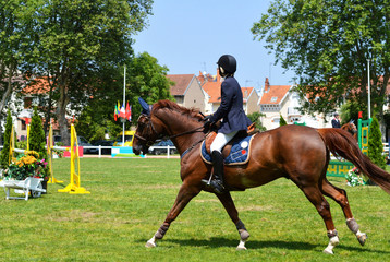 A rider on a beautiful horse, in a show jumping competition