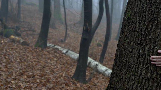 Man touches tree and goes into dense fog - (4K)