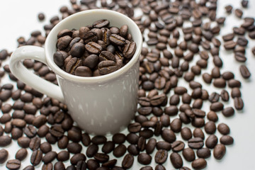 grain of coffee