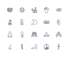 Broken bone, Woman Pregnant, Human Eyebrow, Hand showing palm, N