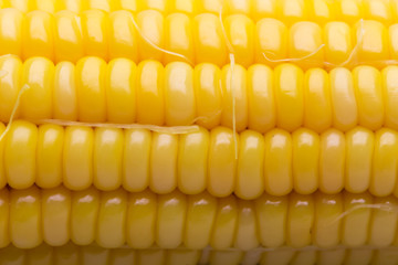 Yellow corn pods Carbohydrate gives the body a white backdrop.