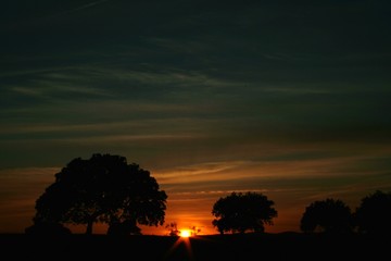 Encinar atardecer