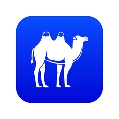 Camel icon digital blue for any design isolated on white vector illustration