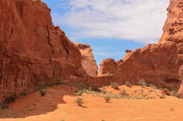 Fototapeta premium American Southwest Desert Landscape in Monument Valley