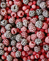 frozen berries used as background;