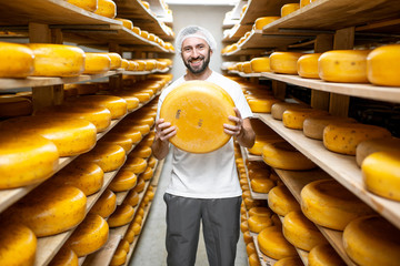 Portrait of a handsome worker standing with cheese at the storage full of cheese wheels during the...