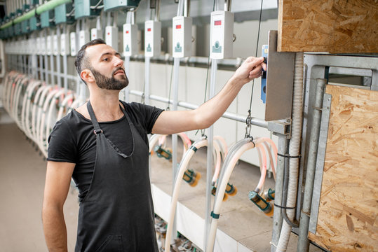 Male worker operating machine during the milking process at the goat farm