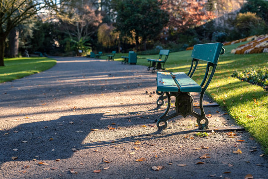 Jardin d&eacute;sert