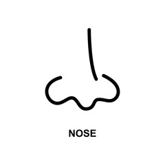 human nose simple line icon