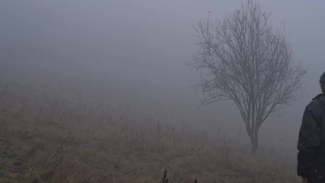 Man goes to a lone tree into dense fog - (4K)