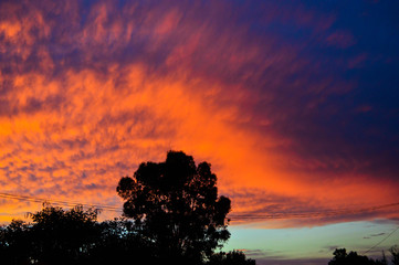 atardecer