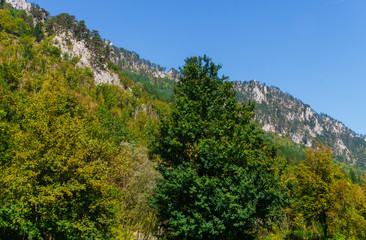 Beautiful panorama of the summer mountain range in the national park Durmitor in Montenegro. September 2018