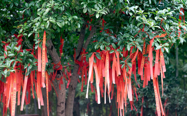 Chinese style red pray ribbons in temple.