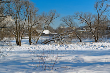 Scenic image of spruces tree. Frosty day, calm wintry scene. Ski resort. Explore the beauty of earth. Country house in winter weather, a lot of snow and sunny.