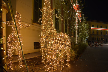 Tirana Christmas Decoration.