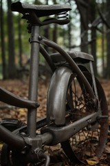 Rusty bicycle in the woods with dead leaves.