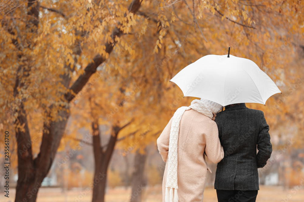 Sticker Young romantic couple with umbrella in park on autumn day