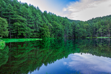 Fototapeta na wymiar 静かな森の中の湖畔 御射鹿池 日本長野県茅野市