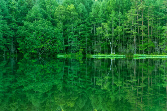 静かな森の中の湖畔 御射鹿池 日本長野県茅野市 Stock Photo | Adobe Stock
