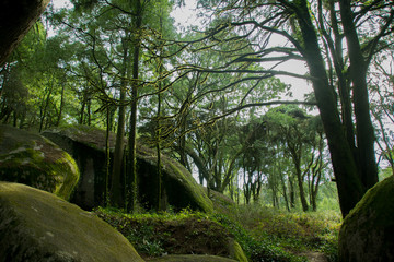 Fototapete bei efototapeten.de bestellen   