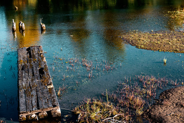 Part of the wooden flooring from the old destroyed pier in the backwaters of the Columbia River