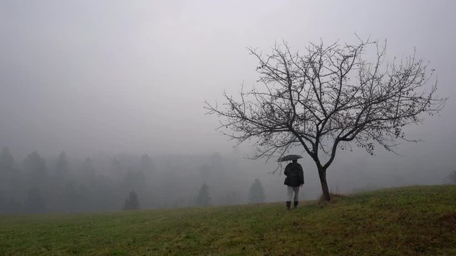 Man touches tree and goes into dense fog with umbrella - (4K)
