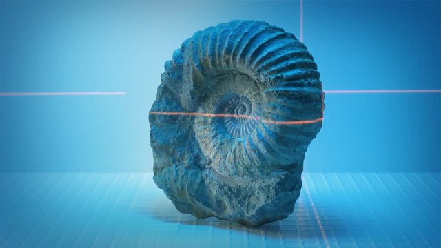 Scanning A Prehistoric Fossil In Science Lab