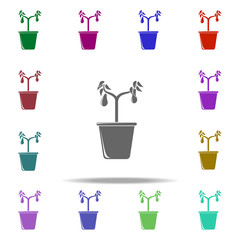 avocado tree in pot illustration icon. Elements of Fruit in pot in multi color style icons. Simple icon for websites, web design, mobile app, info graphics