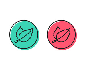 Mint leaves line icon. Herbal leaf sign. Tea with Mentha symbol. Positive and negative circle buttons concept. Good or bad symbols. Mint leaves Vector