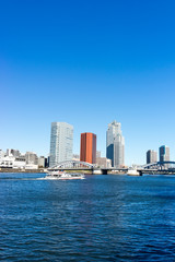 Fototapeta premium view of the Sumida River Tokyo