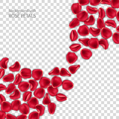 Red rose petals on transparent background. Design element for Valentines Day card or invitation