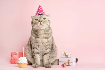 Rolgordijnen funny cat in a cap celebrates birthday, on a pink background © Anton