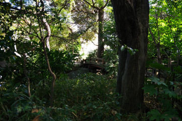 名主の滝公園の風景
