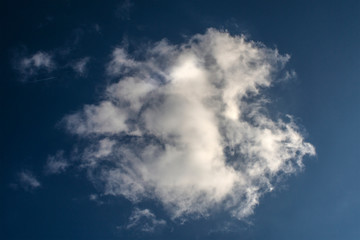 Naklejka na ściany i meble Lonely cloud looks like fish in dark blue sky