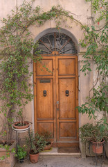 Fototapeta na wymiar Beautiful Vine Covered Doorway in the Medieval Village of Buonconvento, Italy