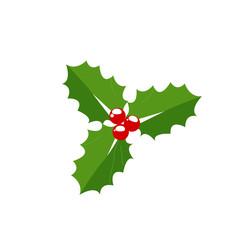 Vector Christmas holly with berries. Vector illustration