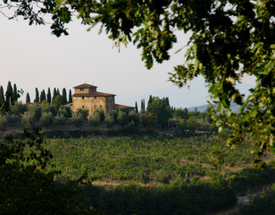 Fototapeta na wymiar Tuscan homes and vineyards in Tuscany, Italy