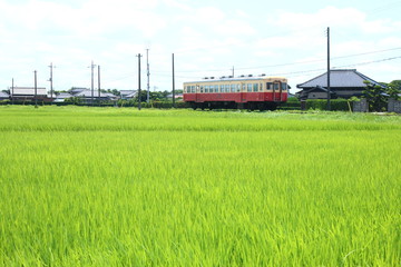 Fototapeta na wymiar 小湊鐵道線　キハ200